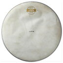 aspr(アサプラ) / ORIGIN-CW 13 inchハロウィーンセール/ハロウィングッズ