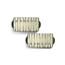 Bare Knuckle Pickups ( ベアナックルピックアップス ) / Nailbomb AlnicoV Set Tyger 53mm夏休みセール