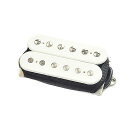 DIMARZIO ( ディマジオ ) / DP254 WHITE Transition NECK夏休みセール