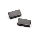 SEYMOUR DUNCAN ( セイモアダンカン ) / AHB-1s Blackouts Set Black Chrome夏休みセール