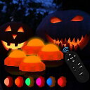 YCQQPRO Jack-O-Lantern LightsnEB[Z[/nEBObY