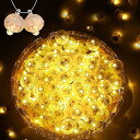 100Pcs Mini Led Lights夏休みセール