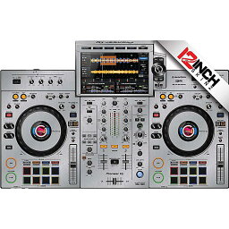 12inch SKINZ / XDJ-RX3 Skinz (33-BR/GOLD) メタリック仕様【XDJ-RX3用スキン】新生活応援