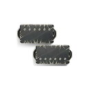 Bare Knuckle Pickups ( ベアナックルピックアップス ) / Nailbomb AlnicoV Set Black Battleworn/N...