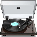 1 BY ONE Luscinia アクリルシートターンテーブル ベルトドライブ レコードプレーヤー Bluetooth機能 搭載 ビルトインフォノプリアンプ USB録音 RCA出力 カウンターウェイト調整可能 マグネティックカートリッジ夏休みセール(2)