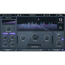 【期間限定半額セール!】Minimal Audio / Ripple Phaser - エフェクト・プラグイン - 【※オンライン納品】夏休みセール