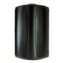 Definitive Technology AW6500 アウトドアスピーカー - 6.5インチウーファー, 200ワット, 極端な天候に対応, シングル, ブ...