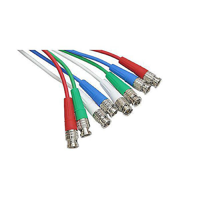 CANARE ( カナレ ) / 4VS05A-3Cハロウィーンセール/ハロウィングッズ