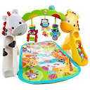 Fisher-Price ベビー ニューボーンからトドラー向け プレイジム ミュージック&ライト付夏休みセール