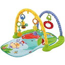 Fisher-Price Link 'n Play Musical Gym (フィッシャープライス リンクンプレイ ミュージカルジム)夏休みセール
