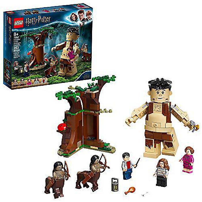 LEGO Harry Potter(쥴ϥ꡼ݥå) Ǥο֥åνв 75967 ˡζǤο253ԡ...