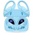 Bluetooth Headphones Wireless Earbuds 80hrs Playtime Wireless Charging Case Digi...