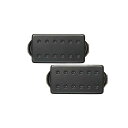 Bare Knuckle Pickups ( ベアナックルピックアップス ) / Warpig AlnicoV Set Black Cover/Black Sc...