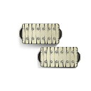 Bare Knuckle Pickups ( ベアナックルピックアップス ) / Warpig AlnicoV Set Tyger 50mm夏休みセール