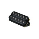 DIMARZIO ( ディマジオ ) / DP253 F-SPACE BLACK Gravity Storm夏休みセール