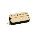 DIMARZIO ( ディマジオ ) / DP224 F-Space Cream Andy Timmons Model AT-1夏休みセール