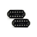 Bare Knuckle Pickups ( ベアナックルピックアップス ) / Polymath Set Black 53mm夏休みセール