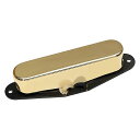 DIMARZIO ( ディマジオ ) / DP417 Area T Neck Gold夏休みセール
