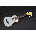 新品 aNueNue(アヌエヌエ) / aNN-US10 BA(ブルーアロナ) ソプラノウクレレ夏休みセール
