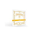 PIRASTRO ( ピラストロ ) / GOLD Vn弦 E線 4/4 Mittel ループエンド 袋入り夏休みセール