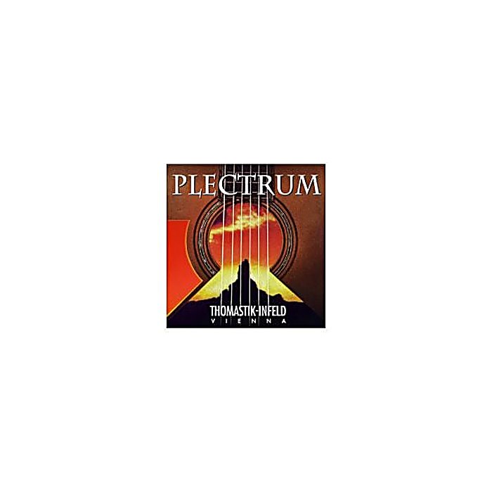 Thomastik-Infeld(トマスティック・インフェルト) / AC211 PLECTRUM 12弦アコース...
