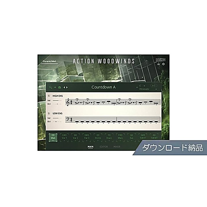 NATIVE INSTRUMENTS(ネイティブインストゥルメンツ) / Action Woodwinds ダウンロード納品版