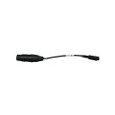 ROLAND ( ローランド ) / 5100031125 V-40HD用変換ケーブル夏休みセール