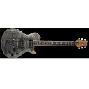 Paul Reed Smith (PRS) ( ポールリードスミス )...(2)