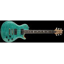 Paul Reed Smith (PRS) ( ポールリードスミス )...(2)