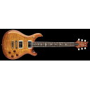 Paul Reed Smith (PRS) ( ポールリードスミス )...(2)