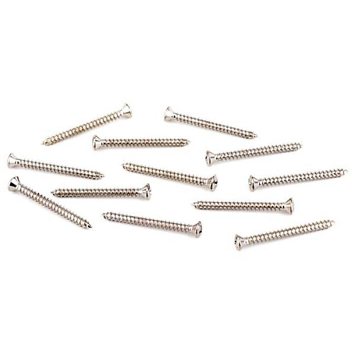 FENDER ( フェンダー ) / NECK PLATE MOUNTING SCREWS AMERICAN STANDARD-DELUXE (12)夏休スペシャル