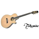 TAKAMINE ( タカミネ ) / TSP138C N夏休みセール