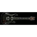 Paul Reed Smith (PRS) ( ポールリードスミス )...(2)