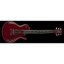 Paul Reed Smith (PRS) ( ポールリードスミス )...(2)