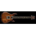 Paul Reed Smith (PRS) ( ポールリードスミス )...(2)