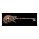 Paul Reed Smith (PRS) ( ポールリードスミス ) / S2 Standard 22 McCarty Tobacco Sunburst夏休み...