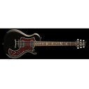 Paul Reed Smith (PRS) ( ポールリードスミス )...(2)