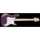 Paul Reed Smith (PRS) ( ポールリードスミス )...(2)