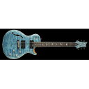 Paul Reed Smith (PRS) ( ポールリードスミス )...(2)