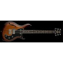 Paul Reed Smith (PRS) ( ポールリードスミス )...(2)