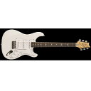 Paul Reed Smith (PRS) ( ポールリードスミス )...(2)