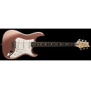 Paul Reed Smith (PRS) ( ポールリードスミス )...(2)