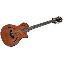 Taylor Guitars ( テイラー ) / T5z-12 Classic 12弦ギター夏休みセール