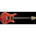 Paul Reed Smith (PRS) ( ポールリードスミス )...(2)