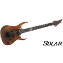 SOLAR GUITARS ( ソーラーギターズ ) / A1.6AAN夏休みセール