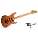 Tagima Guitars ( タジマギターズ ) / STELLA NTM NTS/LF夏休みセール