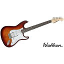 WASHBURN ( ウァッシュバーン ) / SDFSB-U Sunburst夏休みセール