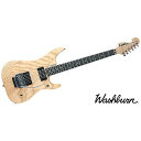 WASHBURN ( ウァッシュバーン ) / N4ESANM-D-U Natural夏休みセール