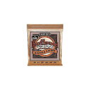 ERNIE BALL ( アーニー・ボール ) / EXTRA LIGHT EARTHWOOD PHOSPHOR BRONZE ACOUSTIC GUITAR ...