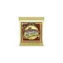 ERNIE BALL ( アーニー・ボール ) / EXTRA SOFT EARTHWOOD 80/20 BRONZE SILK & STEEL ACOUSTI...